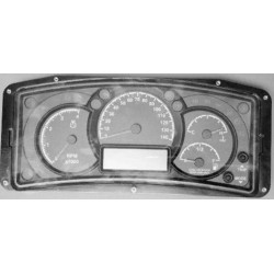 W0013388 - Cluster - Instrument Panel, Gas (&L20 300/42) (2010-2011)