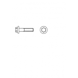 W9000032  -  Wiper Module Bolt-hex Flg  M6x1x20 Cl 