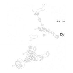 12571593  -  Gasket- Engine Coolant Carry Over Pipe (8.1L)
