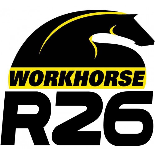 2008 R26 "UFO"