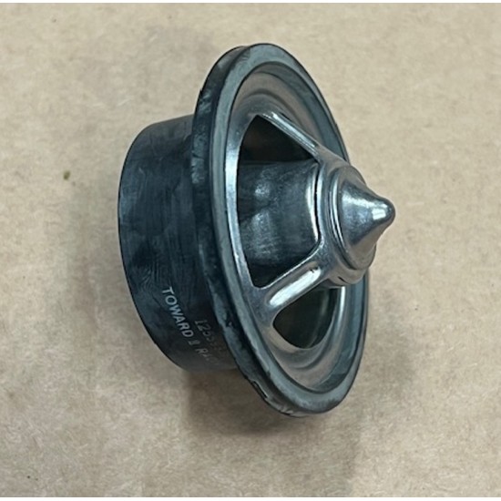 12559336  -  GM OEM 96-02 Express 2500 Thermostat