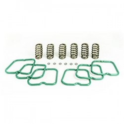 HP10241 - Basic Spring Kit (6 Springs) Compatible with Dodge Cummins 12 Valve Engine 1994-1998