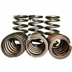 C14010  -  Heavy Duty 60 Psi Valve Springs | 89-98 Dodge 5 9L Cummins C14010  -  Heavy Duty 60 Psi Valve Springs | 89-98 Dodge 5 9L Cummins
