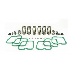 HP10244 - Premium Spring Kit (6 Springs) Compatible with Dodge Cummins 12 Valve Engine 1994-1998 HP10244 - Premium Spring Kit (6 Springs) Compatible with Dodge Cummins 12 Valve Engine 1994-1998