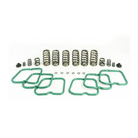 HP10244 - Premium Spring Kit (6 Springs) Compatible with Dodge Cummins 12 Valve Engine 1994-1998 HP10244 - Premium Spring Kit (6 Springs) Compatible with Dodge Cummins 12 Valve Engine 1994-1998