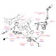 Workhorse/GM P32 Front End Rebuild Guide