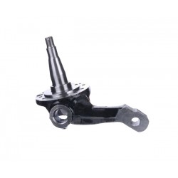 W8007405  -  Steering Knuckle Asm (Left Hand)