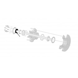 W8830156  -  Retainer - Rear Outer Wheel Bearing