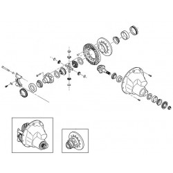 89027137  -  Carrier Asm Differential (Dana S150) (5.38 Ratio)