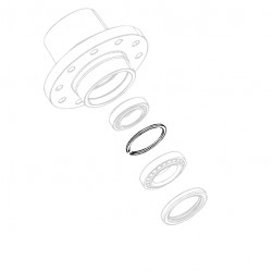 W8003782  -  Circlip - Outer Wheel Bearing Cup Retainer