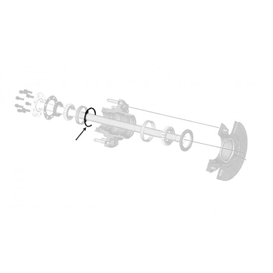 W8003803  -  Circlip - Outer Wheel Bearing Cup Retainer