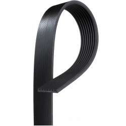 W0009742  -  Belt - Serpentine (4.5L Diesel Engine With A/C)
