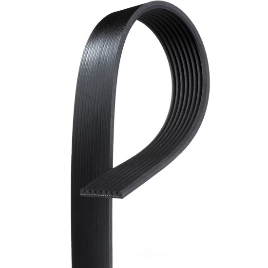 W0009742  -  Belt - Serpentine (4.5L Diesel Engine With A/C)