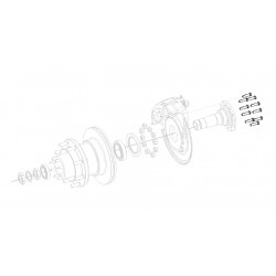 W8000268  -  Bolt/Screw - Rear Brake Caliper Mounting Plate  