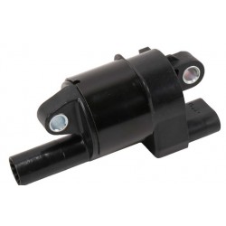 12573190  -  Coil Asm - Ignition