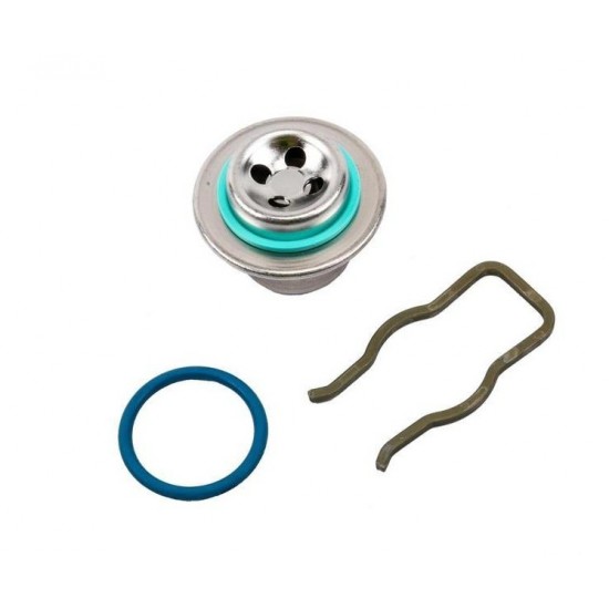 12575013  -   Fuel Pulse Dampener Kit