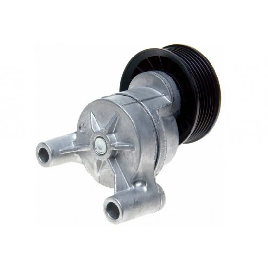 W8830943 - Drive Belt Tensioner Asm (4.8L & 6.0L) W8830943 - Drive Belt Tensioner Asm (4.8L & 6.0L)