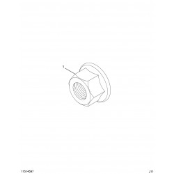 11514597 - Exhaust Pipe Flange Nut (Manifold & Muffler Connection)