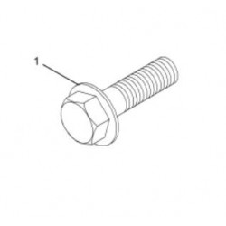 3549305C1  -  Bolt - Hex Flg Hd 