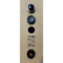 W8000210  -  Module Primer (L4B - 3.9L Cummins) 