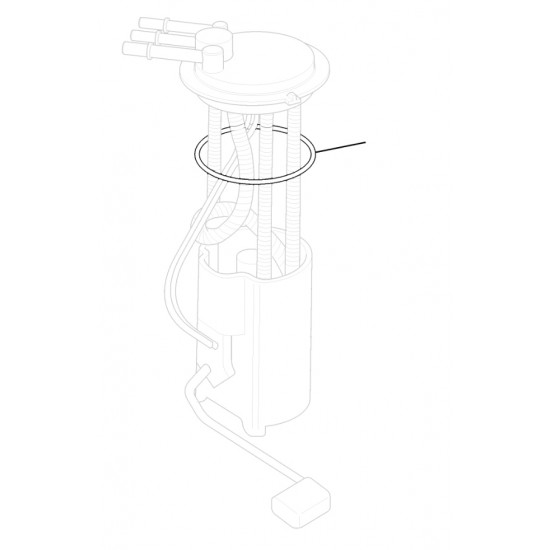 25166292  -  Seal - Fuel Sender (O-Ring) 