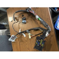 15323164  -  Harness Asm-i/p Wrg 