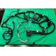 W0005550  -  Harness Asm - Engine Wiring 