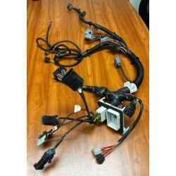 W0005551  -  Harness Asm-i/p Wrg 