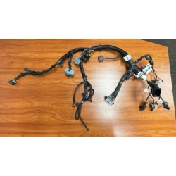 W0005551  -  Harness Asm-i/p Wrg 