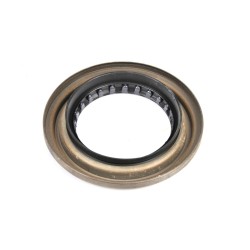 12387291 - Differential Pinion Seal