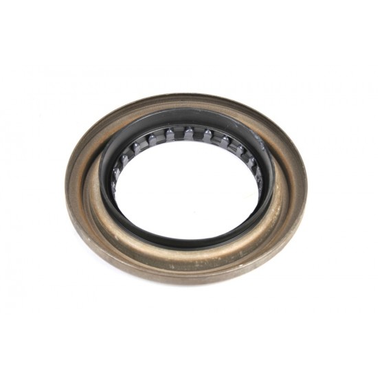 12387291 - Differential Pinion Seal