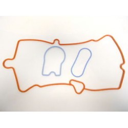 17113206  -  Intake Manifold Seal Kit
