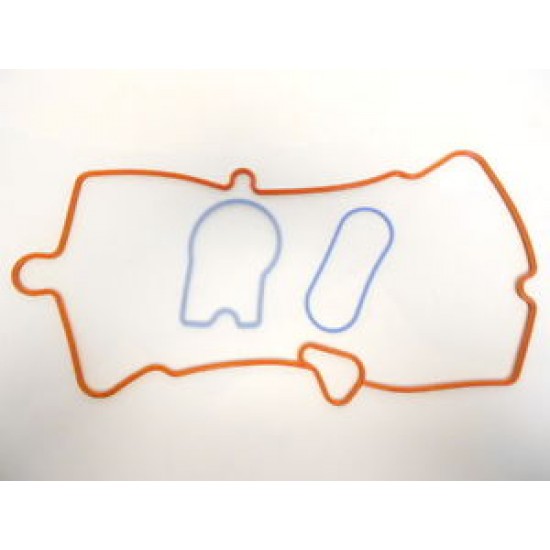 17113206  -  Intake Manifold Seal Kit